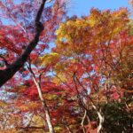 試用期間は簡単に延長できません！