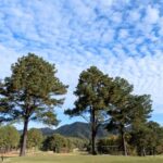 御社は社員の“所持品検査”をできますか？