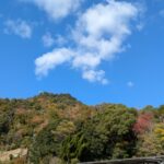 スキマバイトを会社がキャンセルしたら、どんなことになるのか？