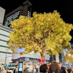 来秋から義務化されるカスハラ対策とは？