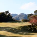 高齢者の医療費を減らすためには？