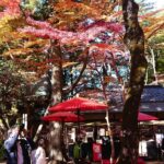 男性社員が育休を取る！と言ってきたら、会社はどうすべき？②