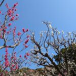 貴社に“休職規定”はありますか？②