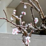 社員の勤務記録の取り方はどうしてますか？