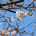 子どもが保育園に入れない！と言われたら、会社がすべきこと