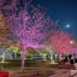 15分刻みの打刻は許されるのか？