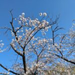 どうして、毎日ブログを書き続けるのか