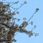 店の名前を変えるとき、会社がすべき手続きは？