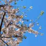 若い社員が「残業キャンセル界隈」と言ってきたらー