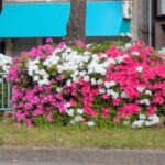 会社の健診項目が加わります！