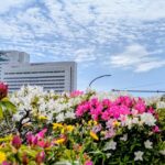 「社食特需」を会社が活用する方法