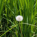 労災請求権の消滅時効が延長されるって、どういうこと？