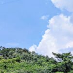 外国人永住要件の厳格化とは？
